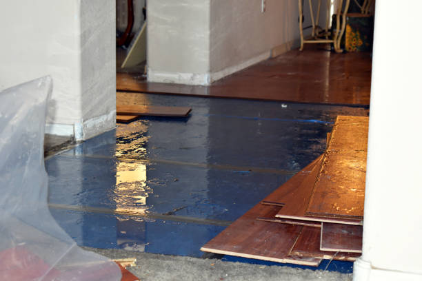 Professional Sewage Cleanup technician working in Trevett, ME